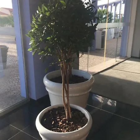Ocean Atlantic Luxurious דירה